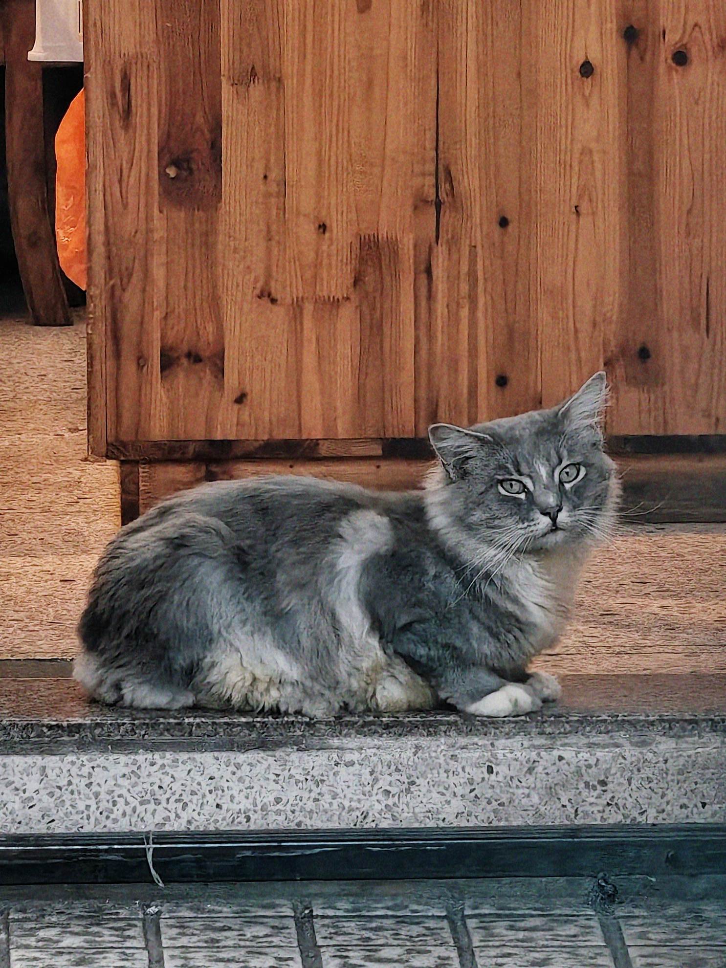 24-12-10-潮州古城