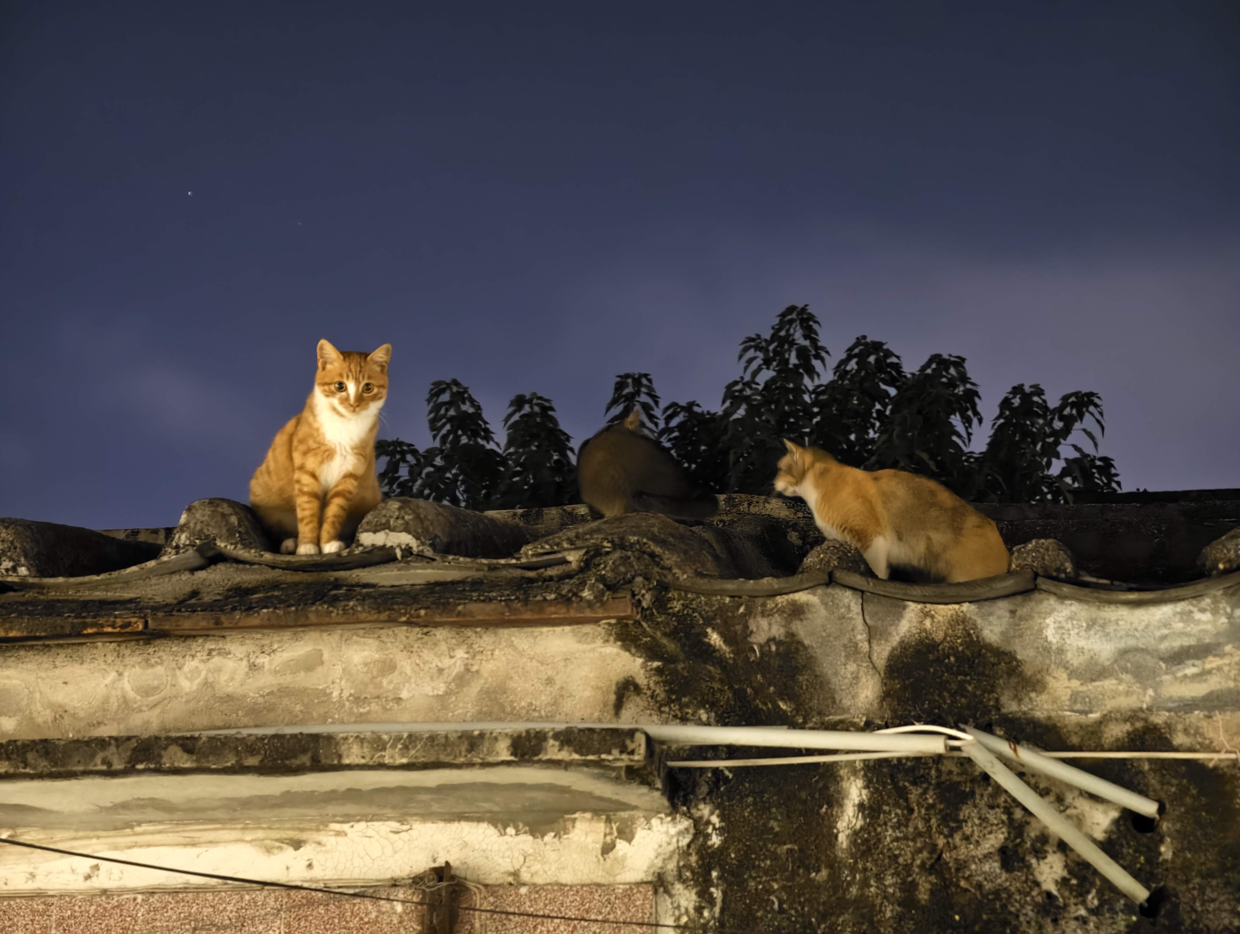 24-12-10-潮州古城